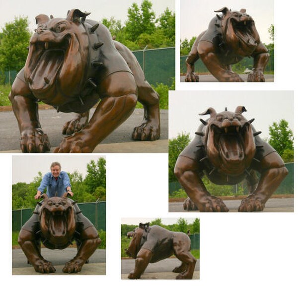 Life Size Bronze Dog school Mascot Bull Dog sculpture Center Piece